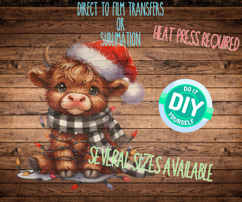 DTF Or Sublimation Print- Baby Highland Cow